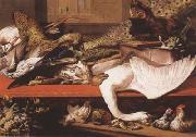SNYDERS, Frans Still Life (mk08) USA oil painting reproduction